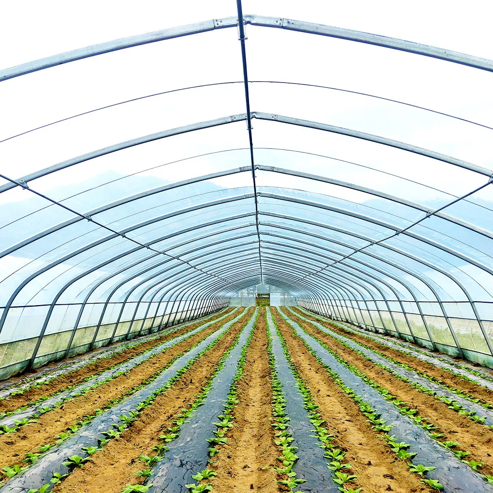 Agricultura Comercial Multi-Span película de plástico película de invernadero utilizada para Tomato/pepino/Peppers/Eggplant/Fresa Mejor rendimiento de aislamiento