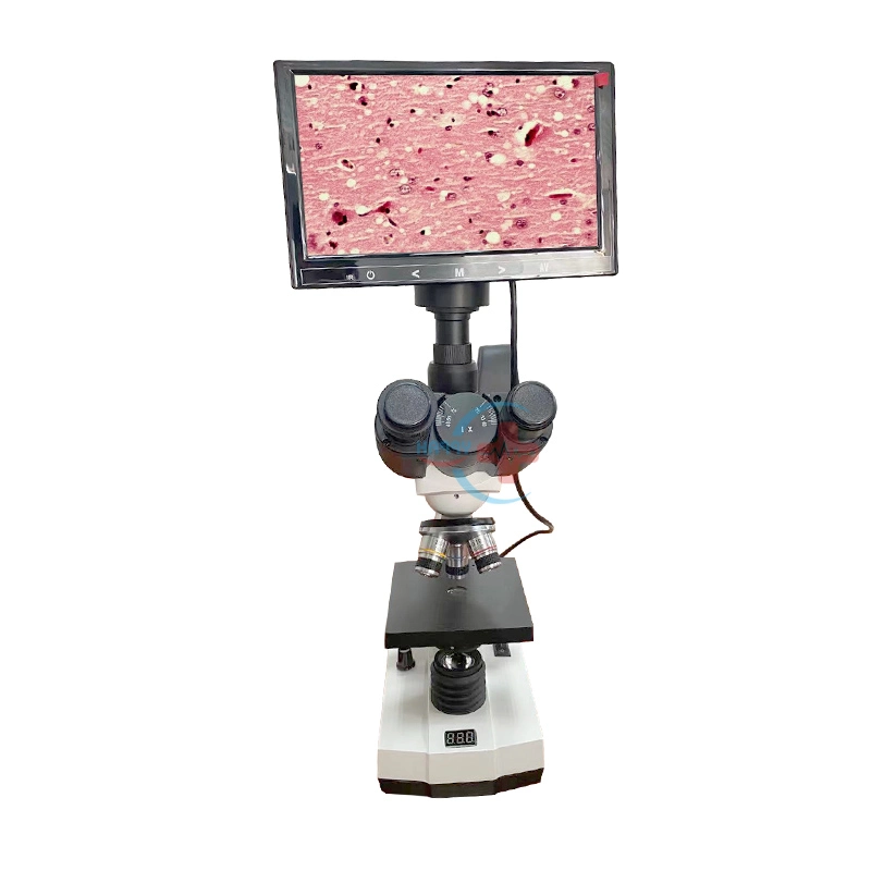 Hc-R069A New Design 7 Inch LCD Digital Binocular Veterinary Biological Microscope for Semen Sperm Analyzer