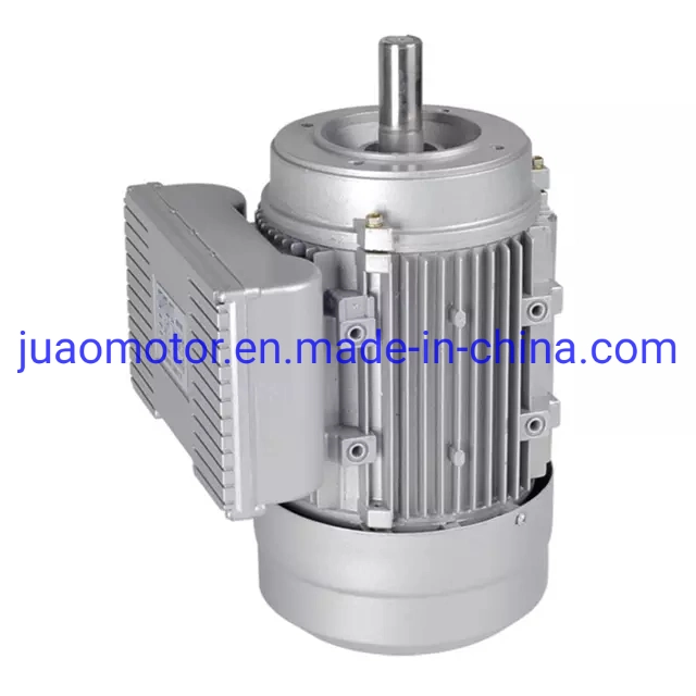 La serie YC CA monofásica Motor de inducción eléctrica 220V