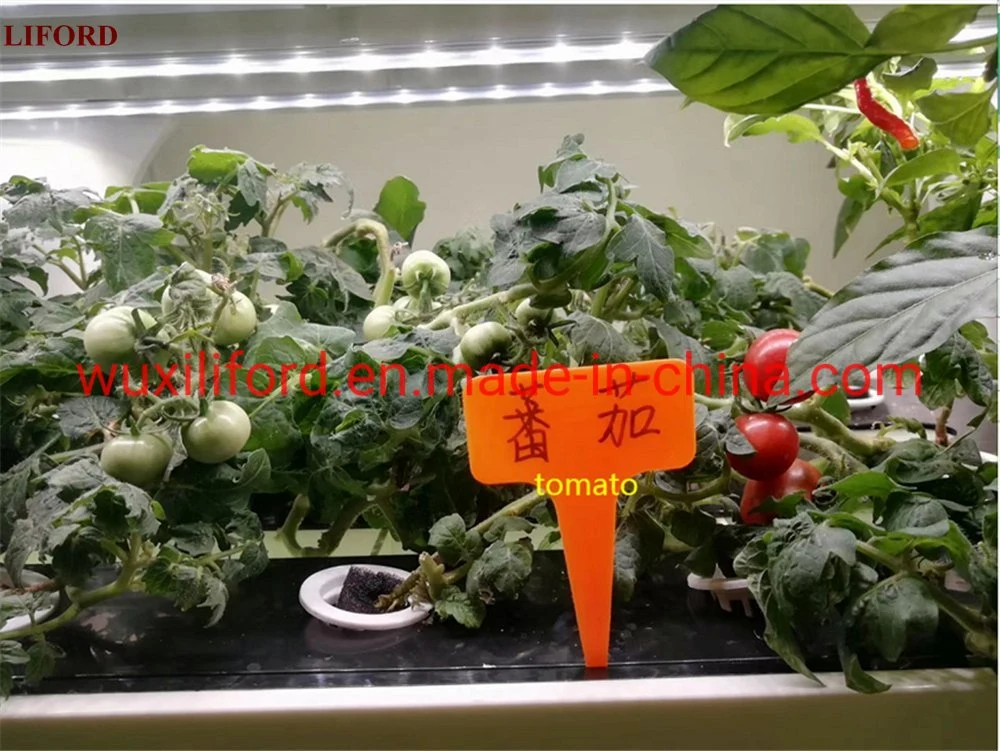 Vertical Farming Hydroponics Growing System with LED Grow Light