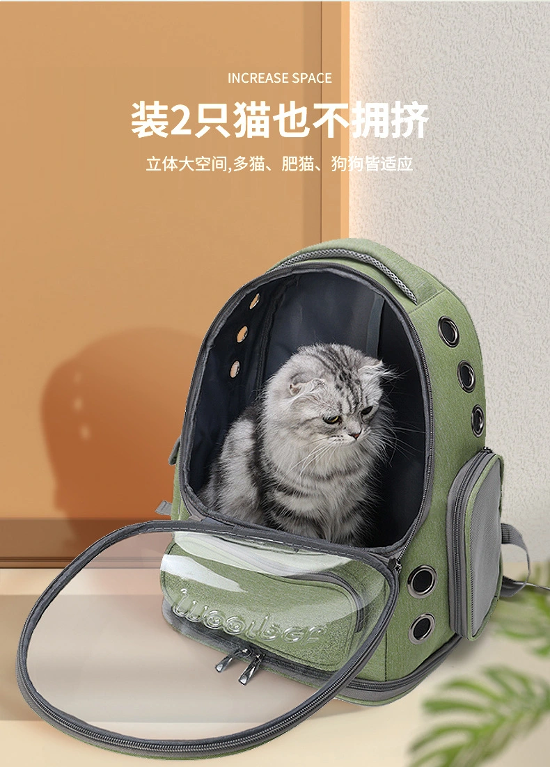 Spacious Transparent Window Portable Pet Carrier for Outdoor Travel