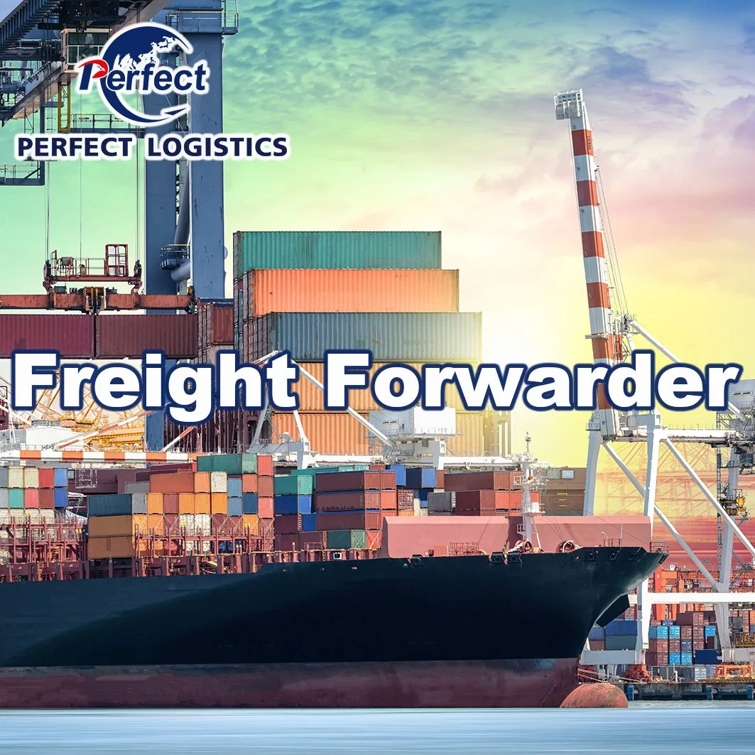 EE.UU., Reino Unido, Canadá, Italia, Polonia, Alemania, México, Australia, Noruega, Suecia, Portugal de China sea Freight Air Freight y Freight