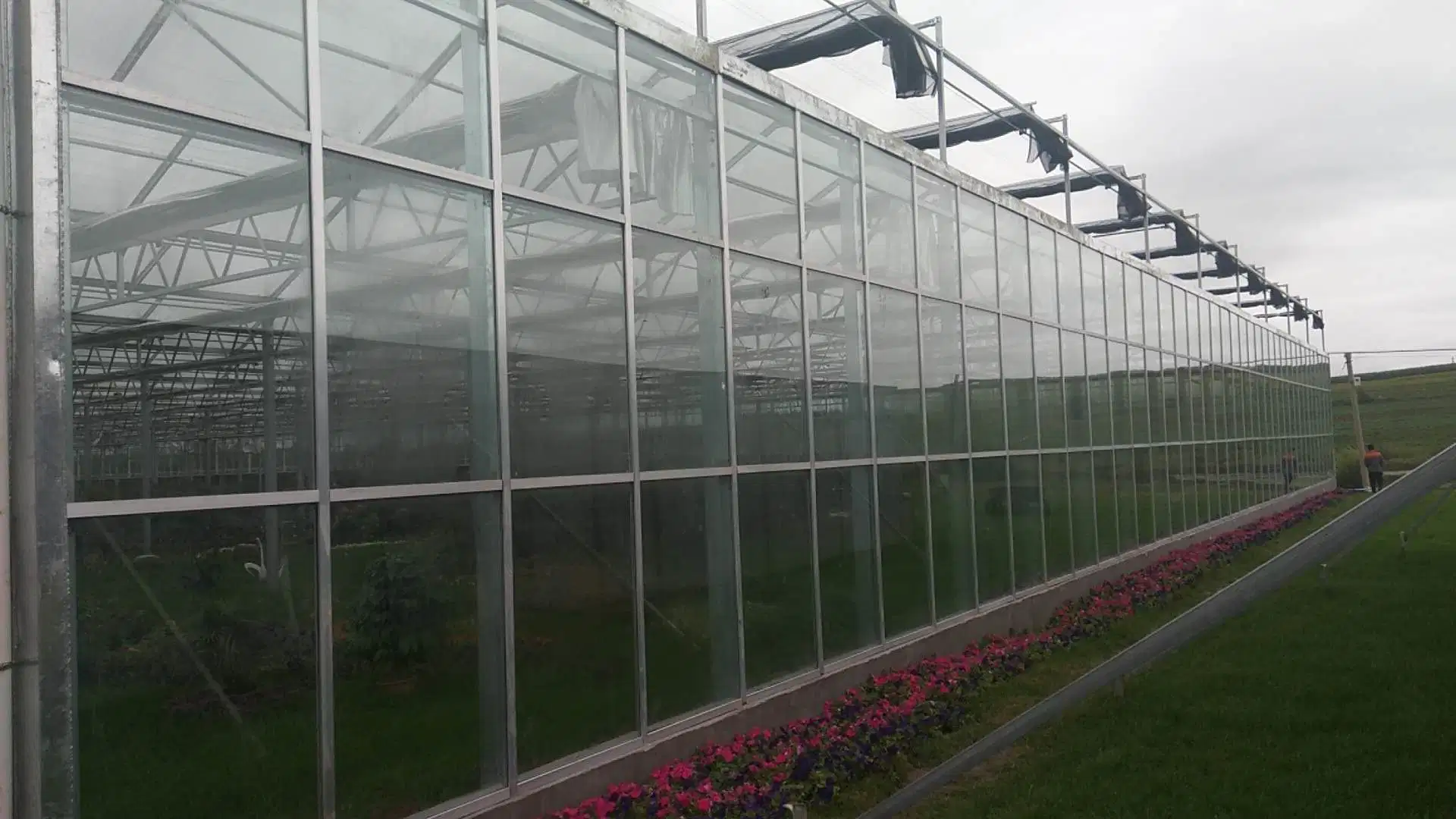 Hot Sale Solar Panel Polycarbonate Agricultural Greenhouse