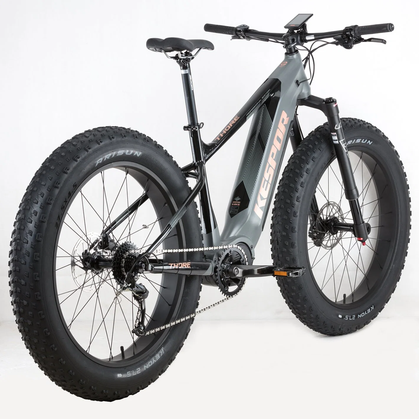 China Wholesale/Supplier New Style 1000W Big Motor Electric Bike/Dirt Snow Bike with Suspension