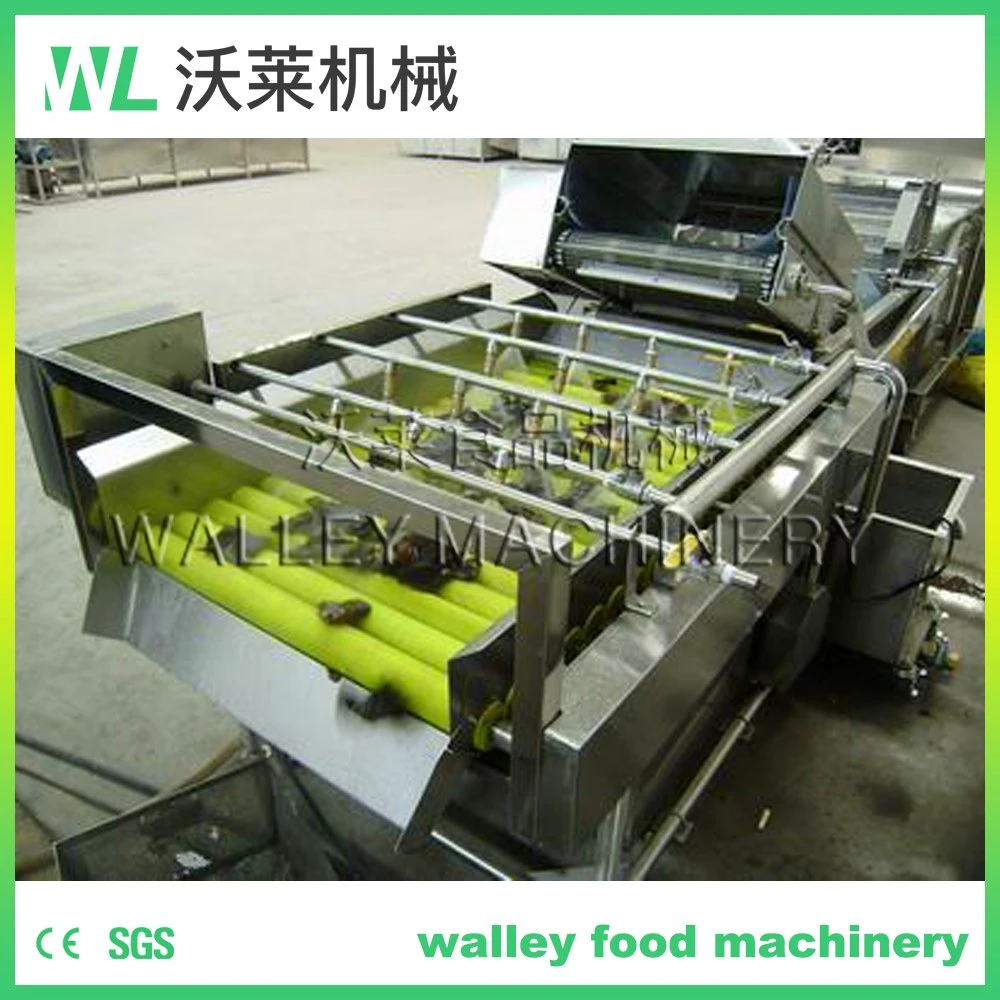 High Rebuy China Agricultural Industry Roller Brush Cleaning Machine