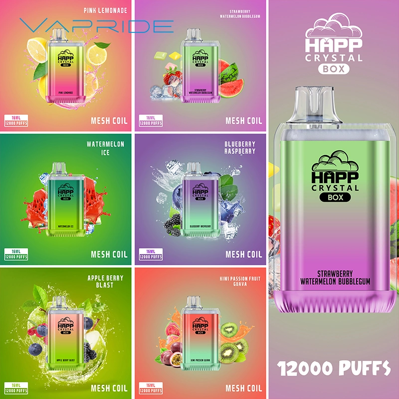 OEM Marca 12000 Puffs VAPE lápiz desechable vape con malla Bobina