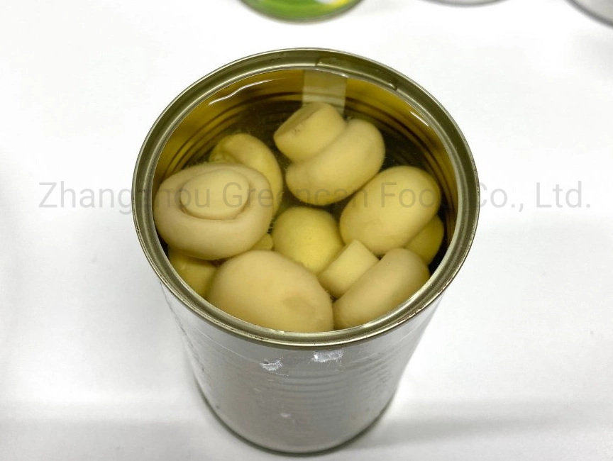 Hot Selling Canned Food Canned Mushroom with Private Label