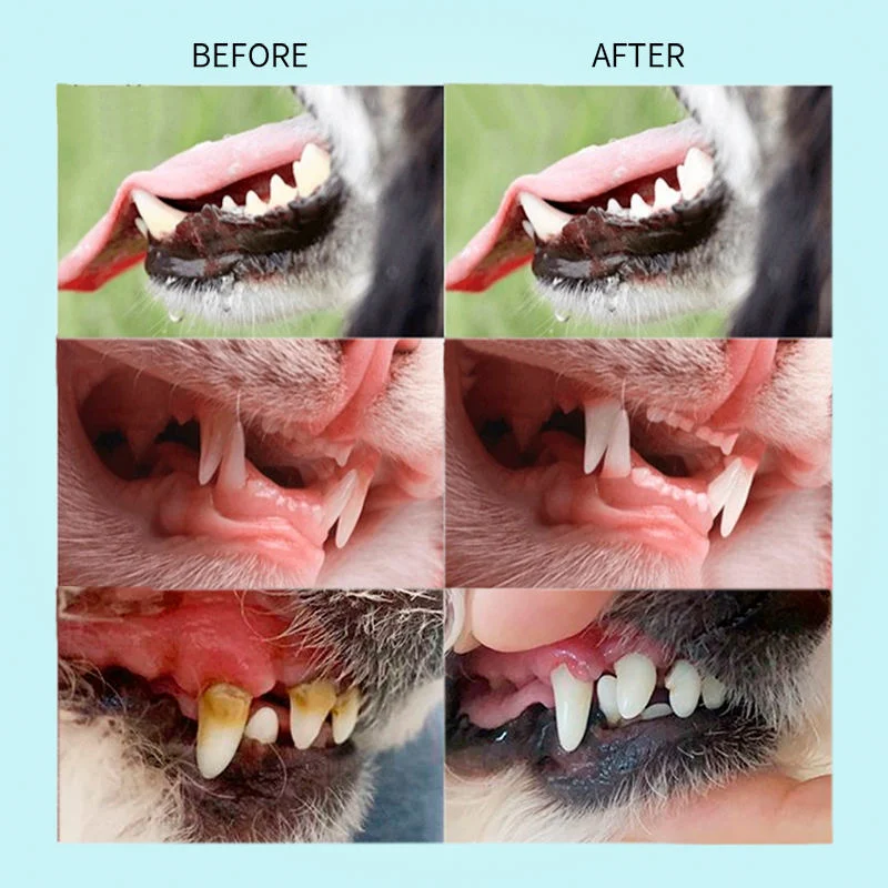 Fórmula de tratamiento más vendida agua Perro aliento Cuidado de Freshener mascota Tratamiento dental