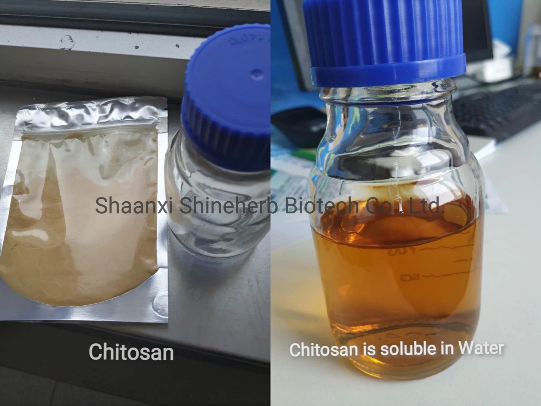 Clorhidrato de Chitosan soluble en agua de grado industrial/agrícola