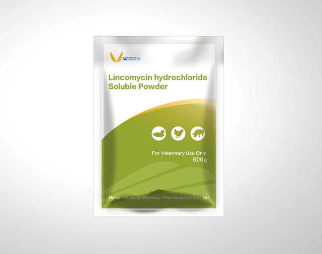 Veterinary Drug with GMP 10% Lincomycin Hydrochloride Soluble Powder for Poultry&Swine