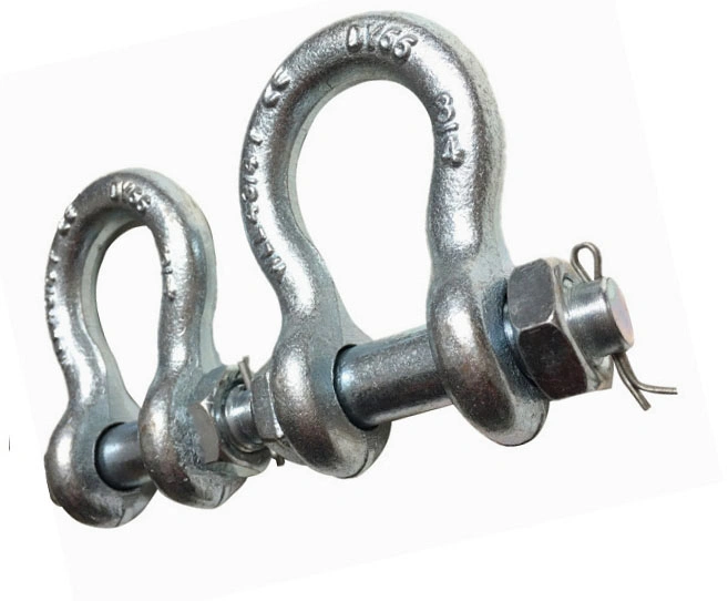 Forged D Type Anchor End Shackle