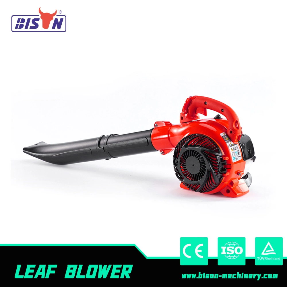 Bison Household Mini Cordless Electric Leaf Vacuum Dust Blowers with Battery