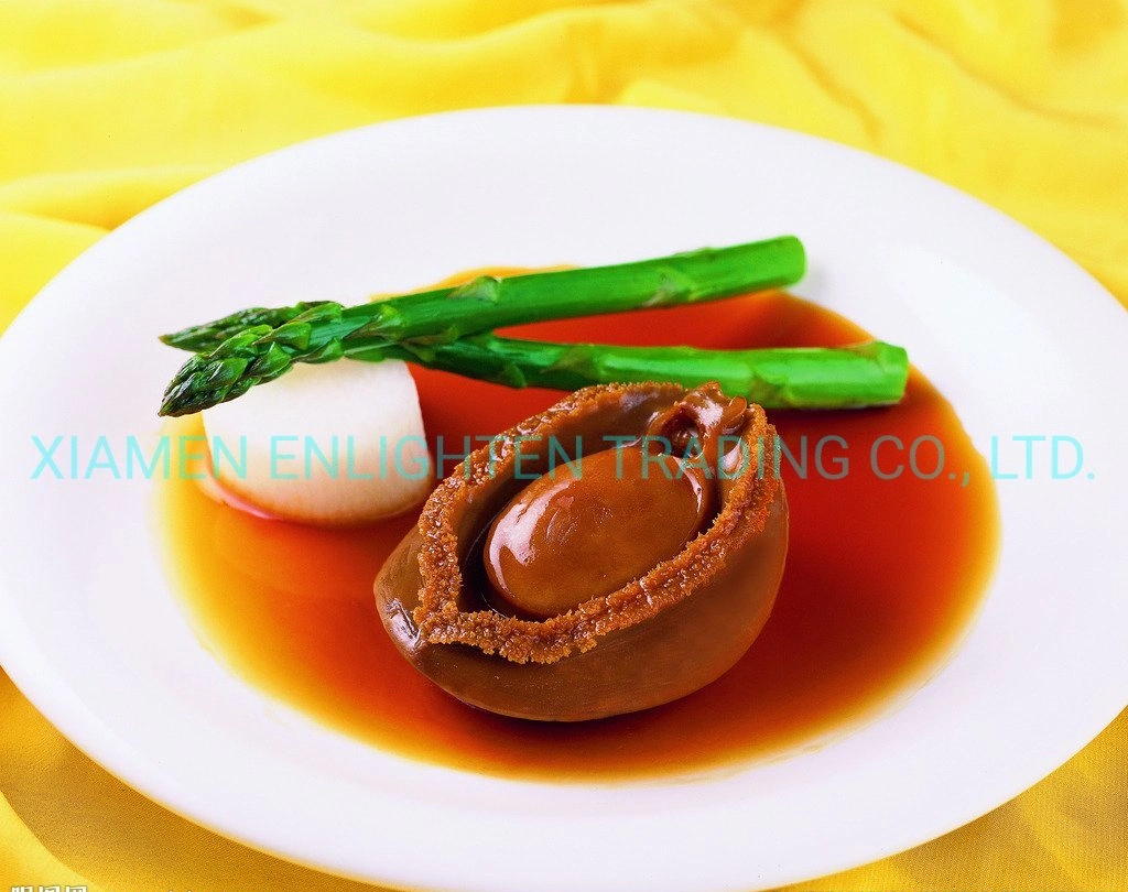 Cheap Price Fresh Seafood Canned Abalone Braised 170g Canned