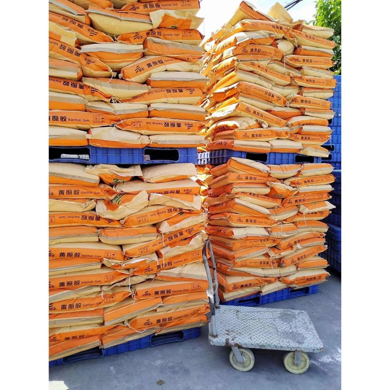 Feed Additive Hydrolyzed Rice Protein Powder for Animal Feed