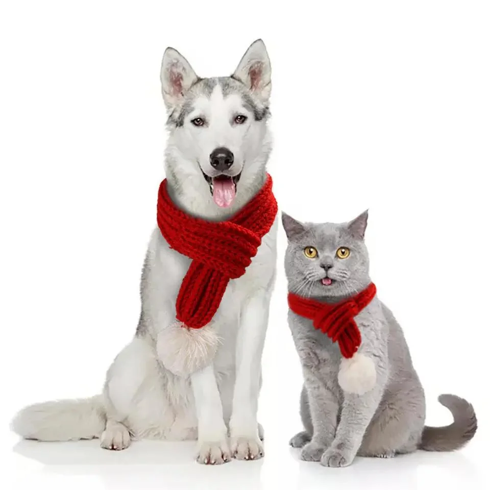 Vente en gros produit d'animal de compagnie de luxe Halloween de Noël PET vêtements Costume Cat Vêtements pour chiens