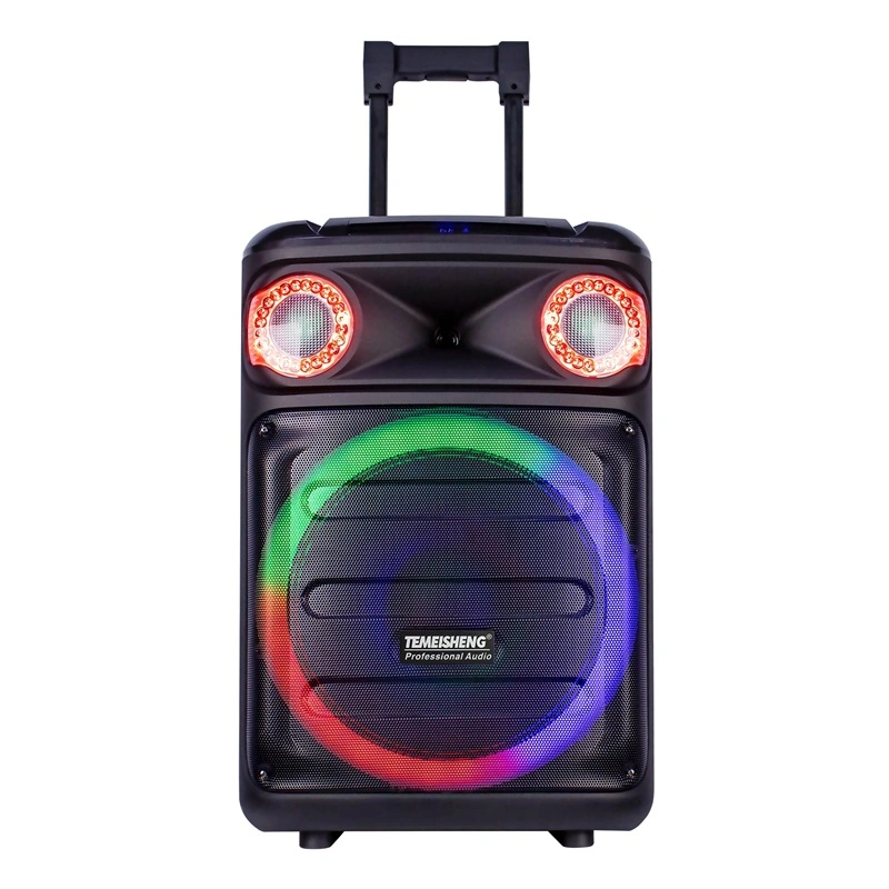 Temeisheng New Max Power 60W LED Bluetooth Audio Portable Trolley Party Speaker with Mic