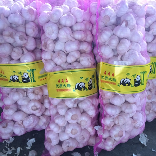 Wholesale/Supplier 4.5cm 5.0cm 5.5cm 6.0cm 10kg Carton Normal White Fresh Garlic Price