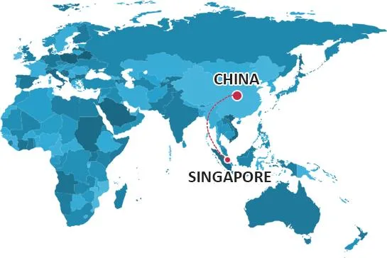 China Forwarder/Air Flight/Sea Shipping/Express/Logistics/ Consolidate Parcels Together Shipping China to Singapore