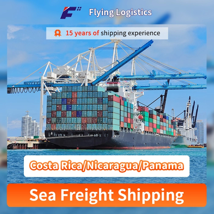 Sea Freight From China to Costa Rica/Nicaragua/Panama