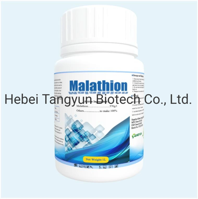 Top Quality Insecticides Malathion 40%Ec 57%Ec with Factory Price