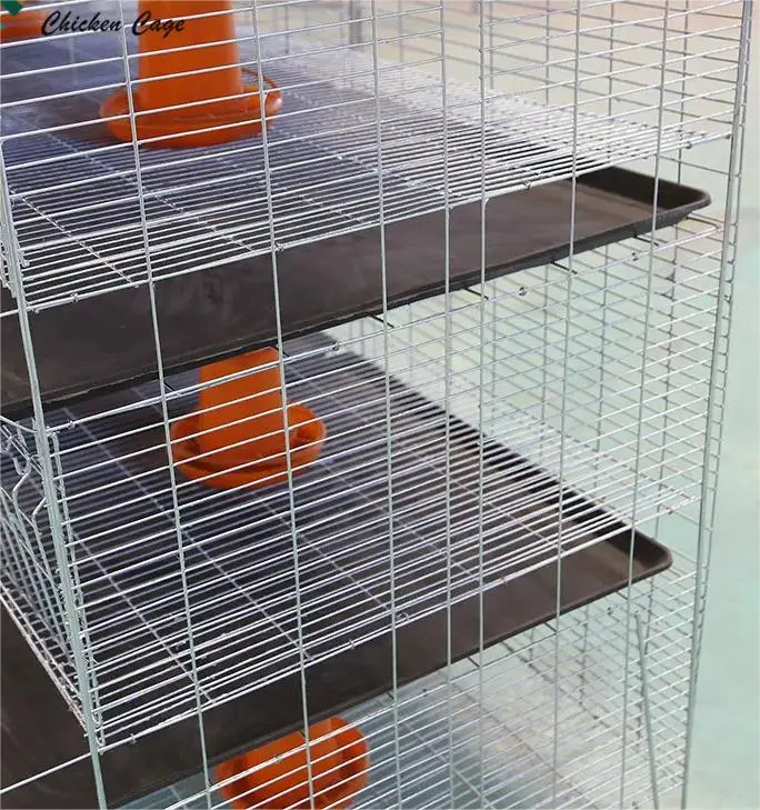 Low Price Wire Mesh Steel Automatic H Type 3 4 5 Tiers Chicken Pullet Breeding Cage for Baby Chicks