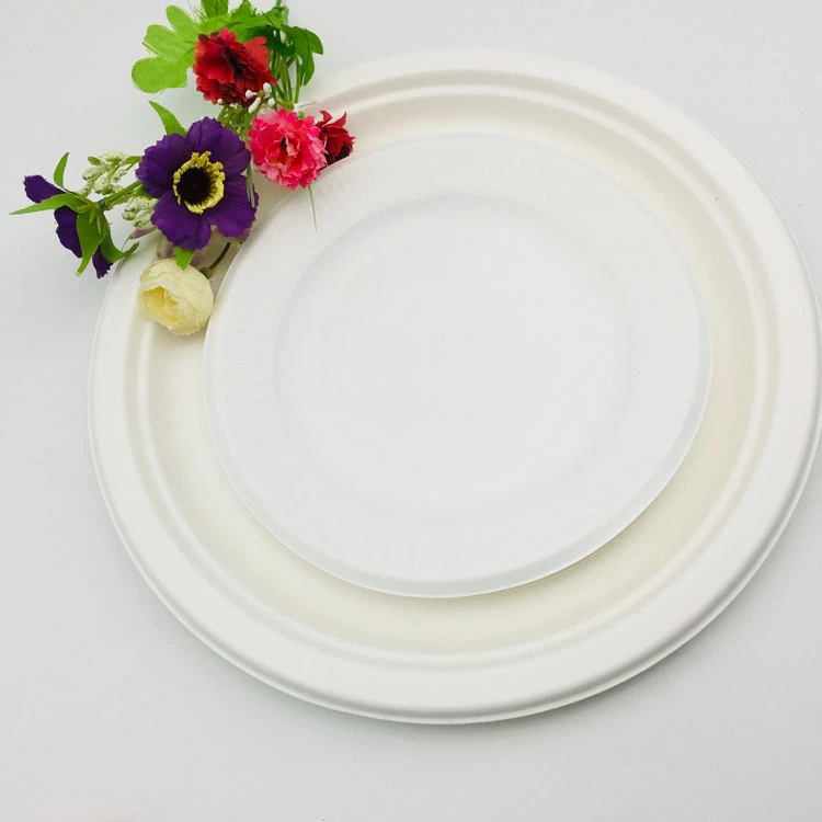 Custom Design Paper Plates Disposable Tableware