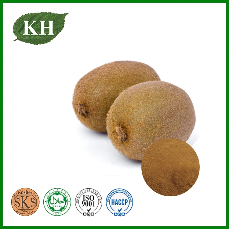 Facotry Supply 100% Natural Kiwi Fruit Powder