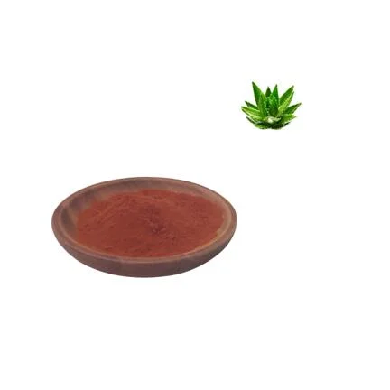 Reasonable Price 100% Natural Plant Extract Pure Aloe Vera Extract Powder Capsules