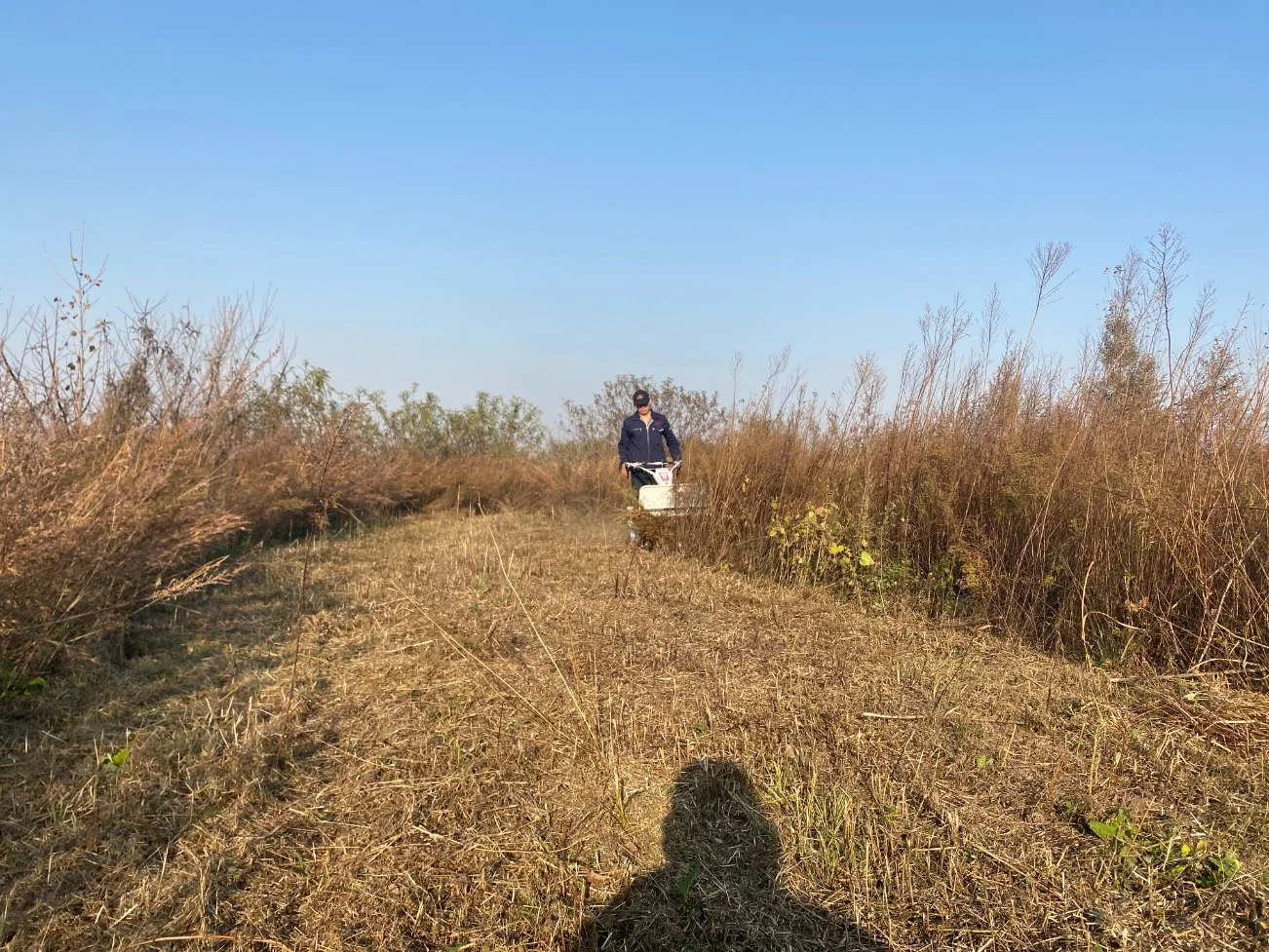 Huerto de la pequeña oruga cortadora de césped de hierba caminando de la segadora de hierba rompedor Segadora Rotativa recortador de pasto de corte de maleza