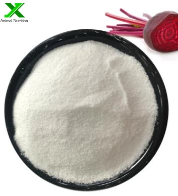 Wholesale/Supplier Bulk CAS107-43-7 Glycine Betaine Powder