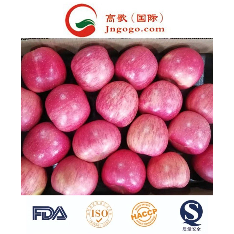 125 Fresh Red Sweet FUJI Apple