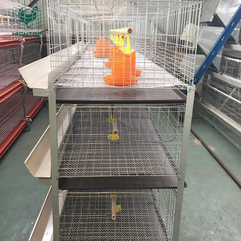 Large Poultry System Used Poultry Breeding Equipment Broiler Chicken Cage