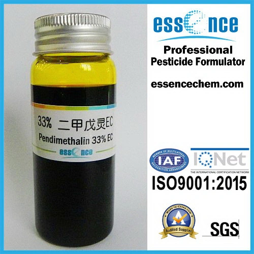 Factory Supply Bulk Price Herbicide Pendimethalin 330g/L Ec