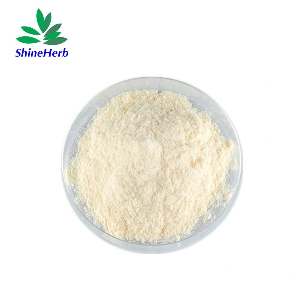 Manufacturer Supply Freeze-Dried Aloe Vera Powder Aloe Vera Extract