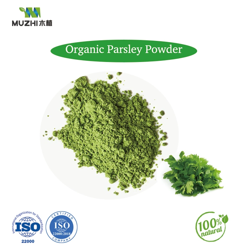 Parsley Powder Natural Herbal Petroselinum Crispum