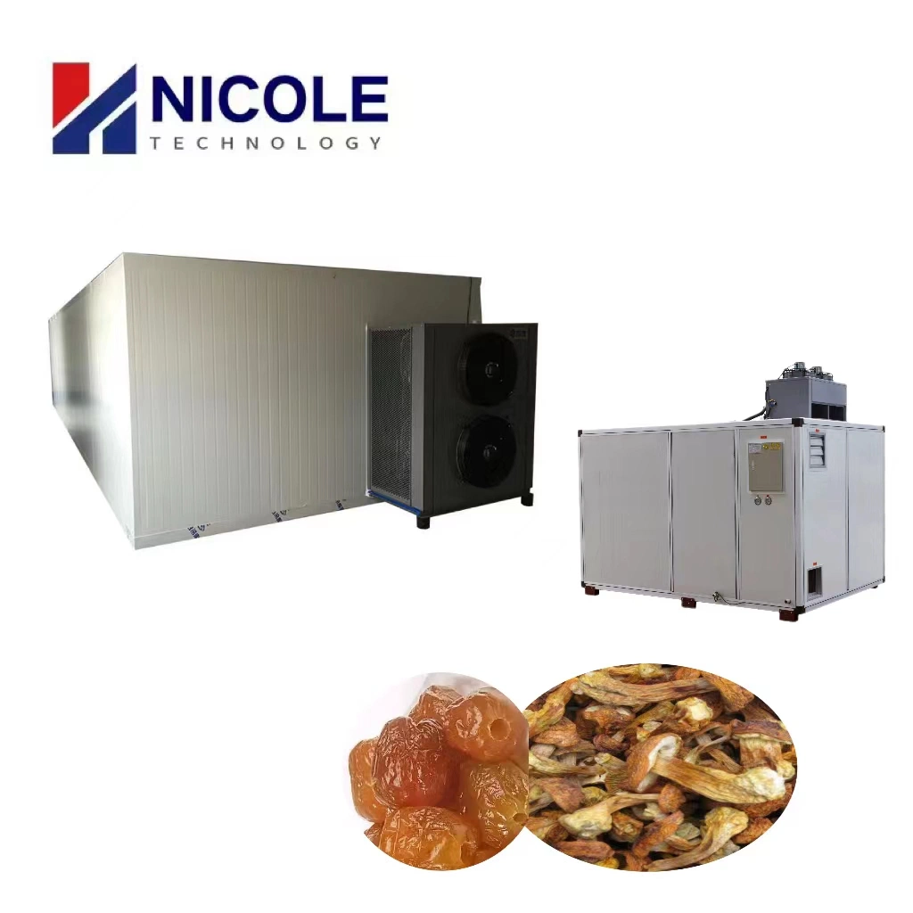 Industrial Commercial Stainless Steel Food Dehydrator Machine Heat Pump Drying Oven