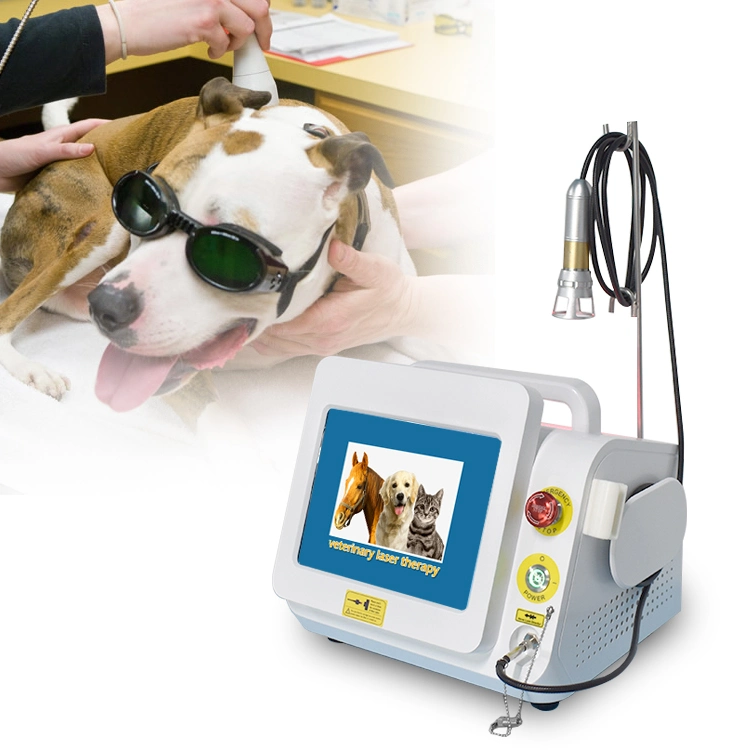 Портативный диодный лазерный Painrevice Vet 980nm Equine Laser Терапевтическое оборудование для коня