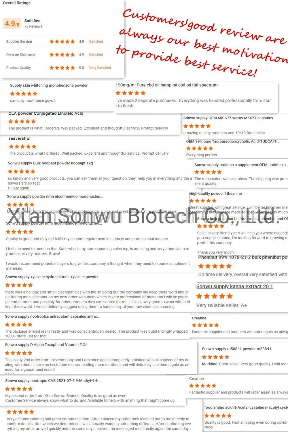 Sonwu High quality/High cost performance Nootropics Aniracetam