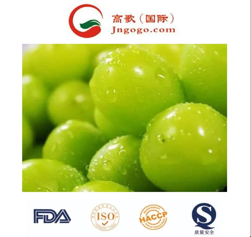 High Sweet Fresh Shine Muscat Grapes Natural Seedless Green Grapes