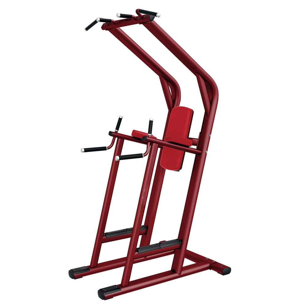 Wholesale Fitness Equipment Chin/DIP/Leg Raise Machine