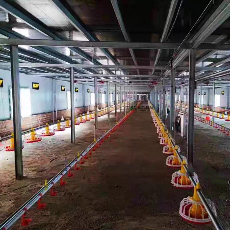 Modern Farm Poultry House Facilities Main Feed Line Equipment