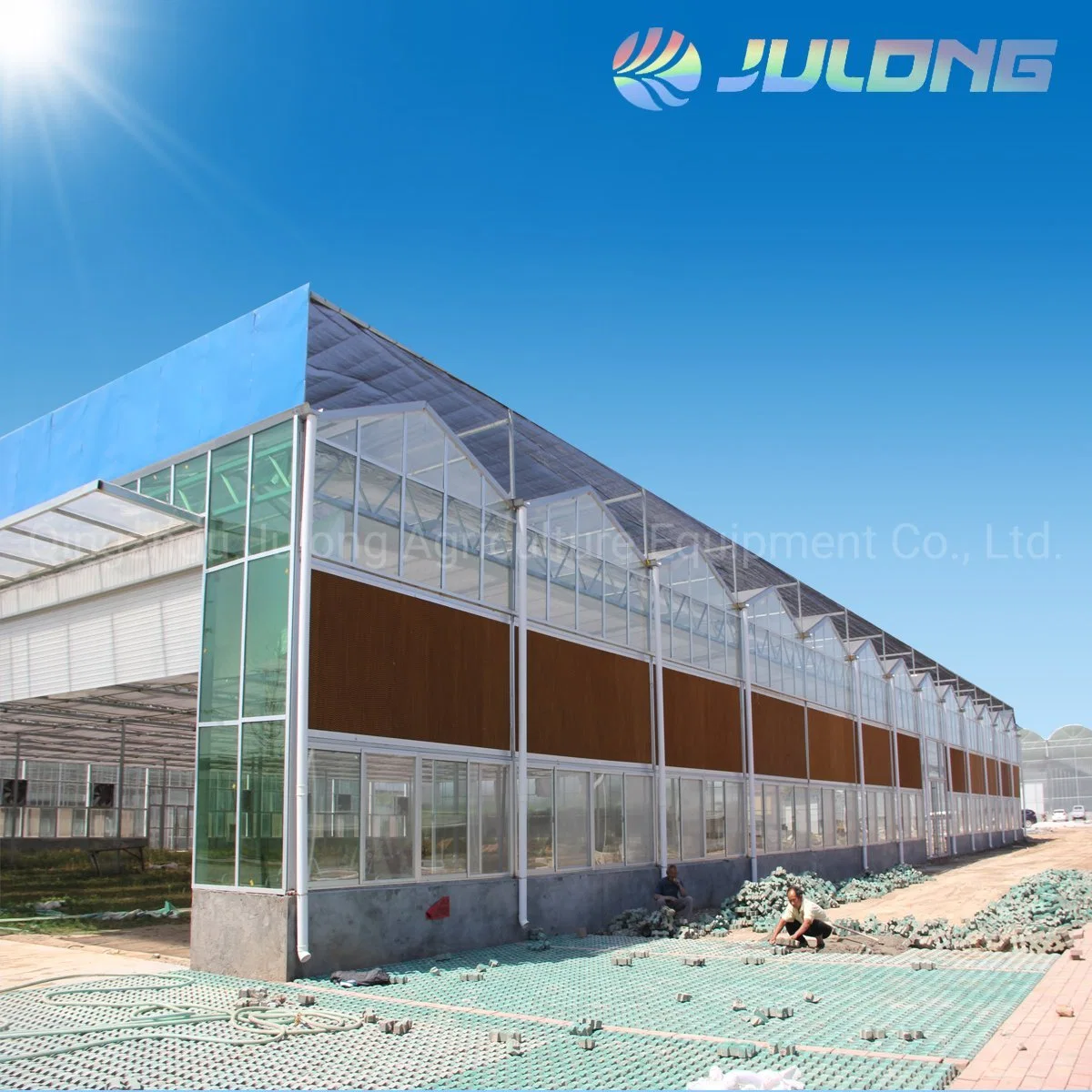 Beautiful Design Venlo Type Glass Multi-Span Greenhouse Soilless Culture Systems