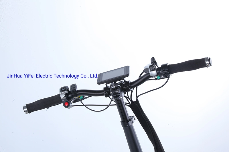 Usine de vélos électriques en Chine Vélo électrique 20" VTT pour femme Moteur sans balais Vélo électrique tout-terrain hors route