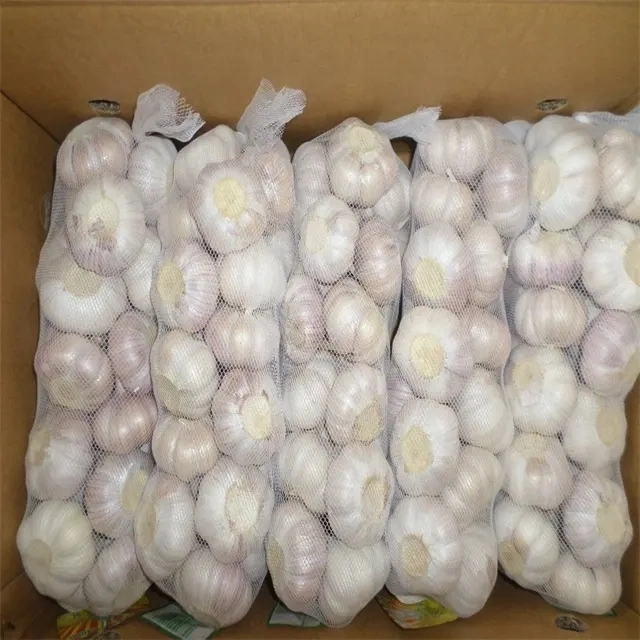 Chinese New Crop Factory Supply Hot Selling Normal White and Pure White with Lowest Price