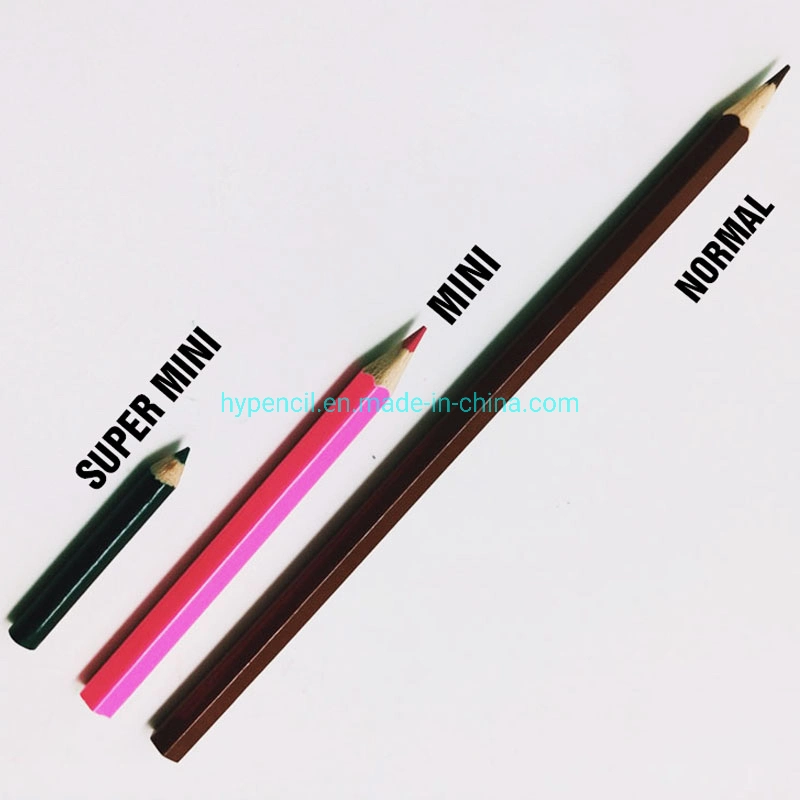 Sm5542-Promotion Gift Super Mini Color Pencil 24PCS in CD Case Promotion Pencil