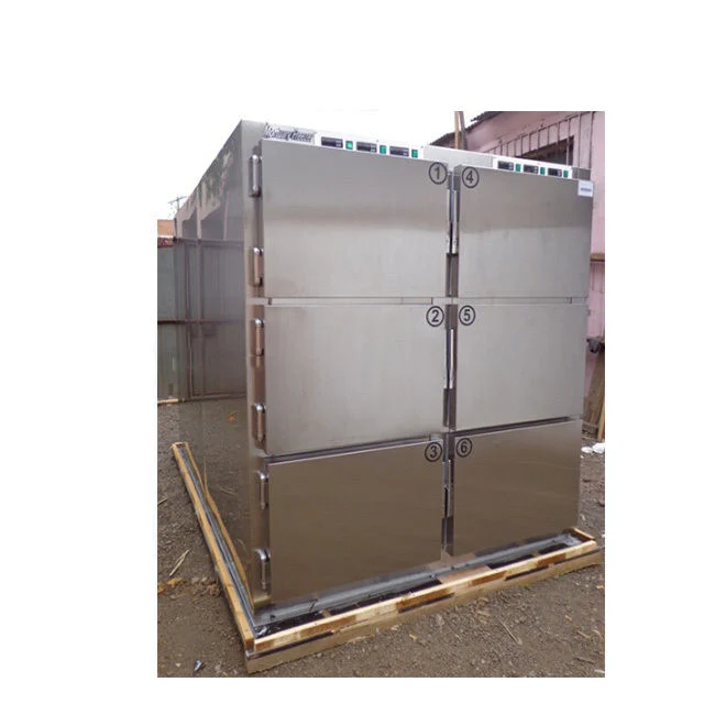 6-Body Mortuary Body Refrigerator, Medical Mortuary Freezer Price