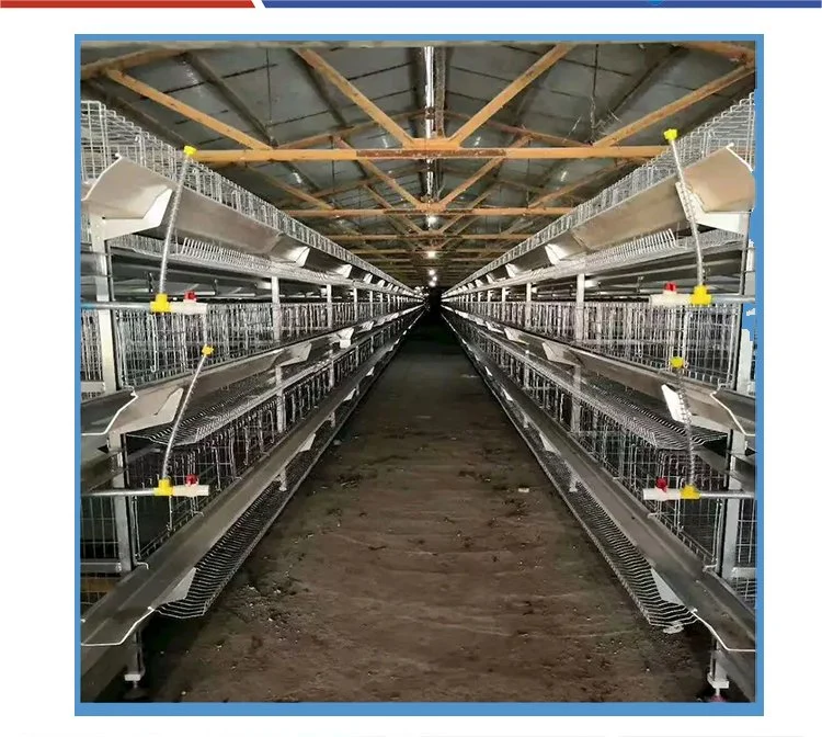 Aves de corral de capa automática Equipo agrícola batería Chicken Egg Layer Cage Sistema