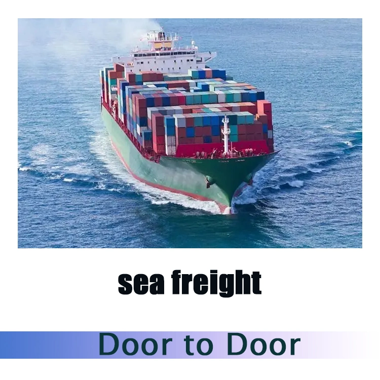 Sea Shipping Wholesale/Supplier China Supplier China Shipping to Mexico