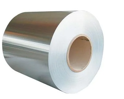 Gi PPGI Aluminum Coil Galvanized/ Stainless Steel Steel Coils From China Supplier