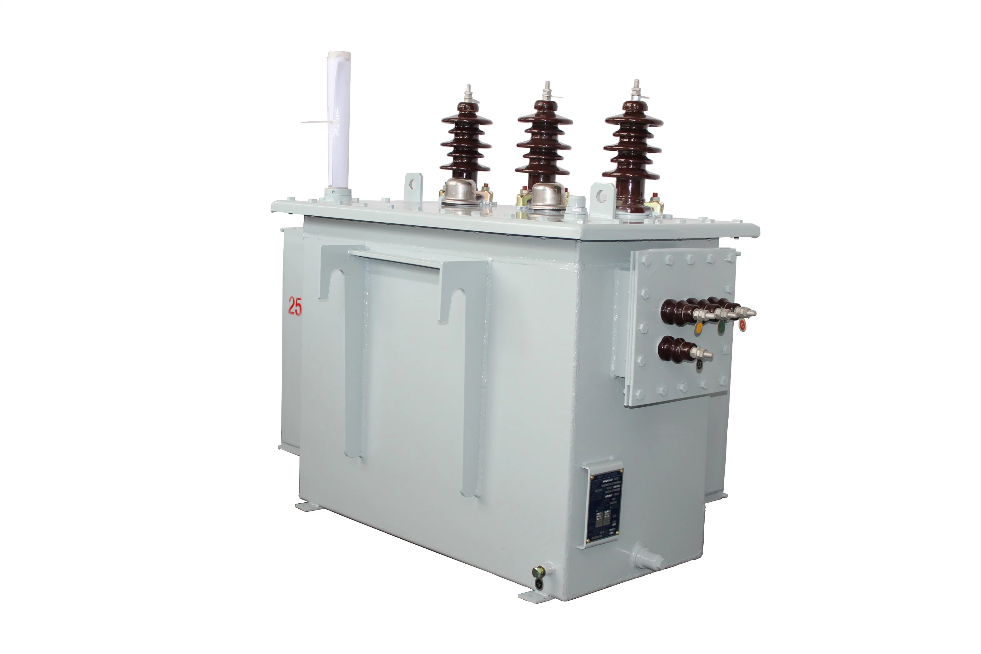 Oil Immersed Type Power Distribution Electric Voltage Transformer